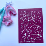 Zodiac Constellations Silk Screen