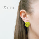Monstera Cutter