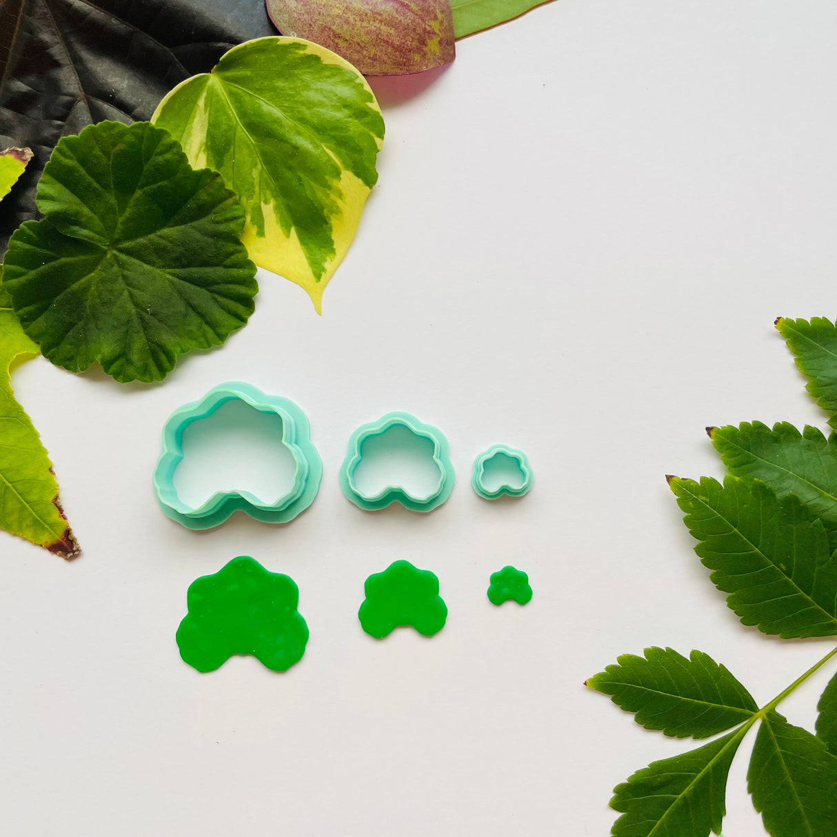 Geranium Leaf Cutter