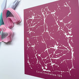 Marble Crackle Silk Screen